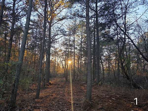 10 Acres of Residential Land for Sale in Cedar Bluff, Alabama