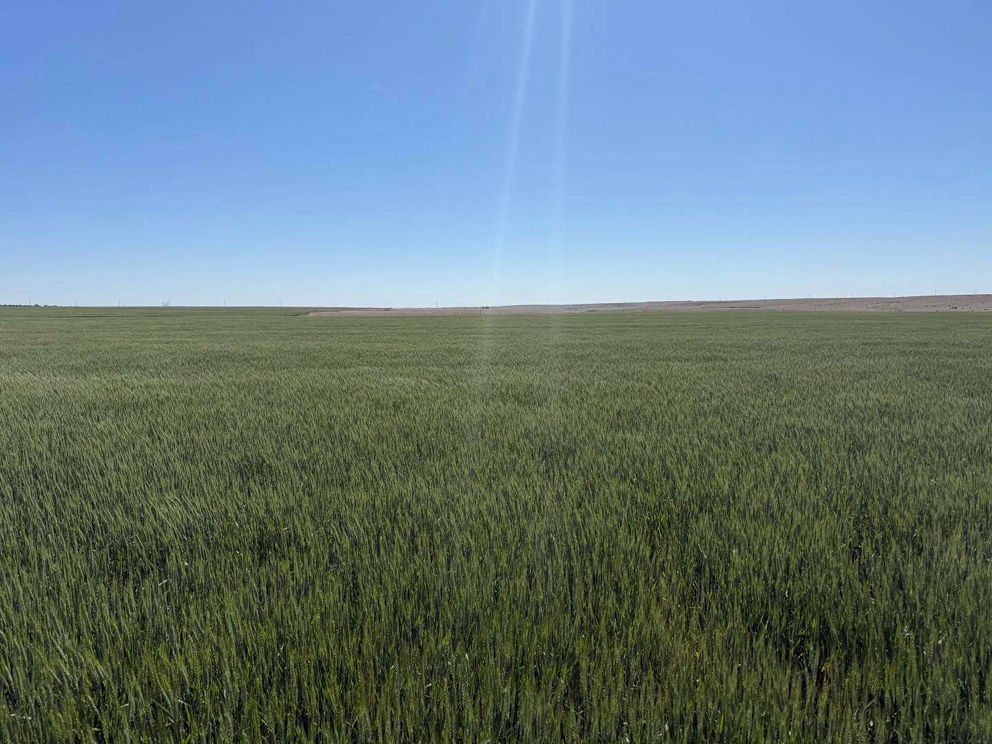 100 Acres of Land for Sale in Atwood, Kansas