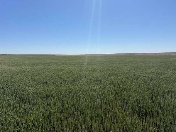 100 Acres of Land for Sale in Atwood, Kansas
