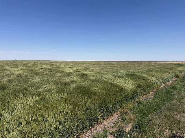 160 Acres of Land for Sale in Dighton, Kansas