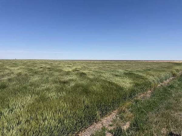 160 Acres of Land for Sale in Dighton, Kansas