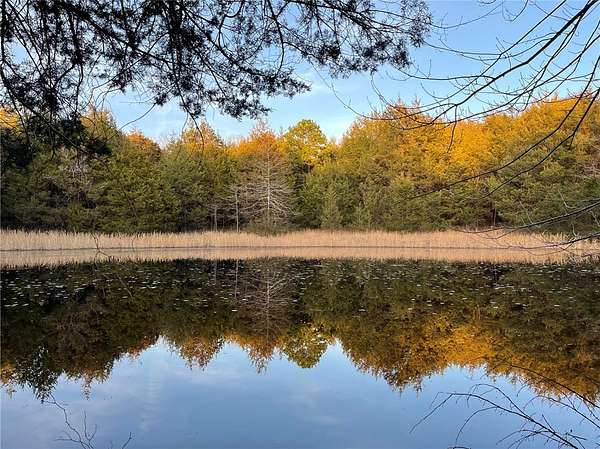 41.4 Acres of Recreational & Residential Land for Sale in Hindsville, Arkansas