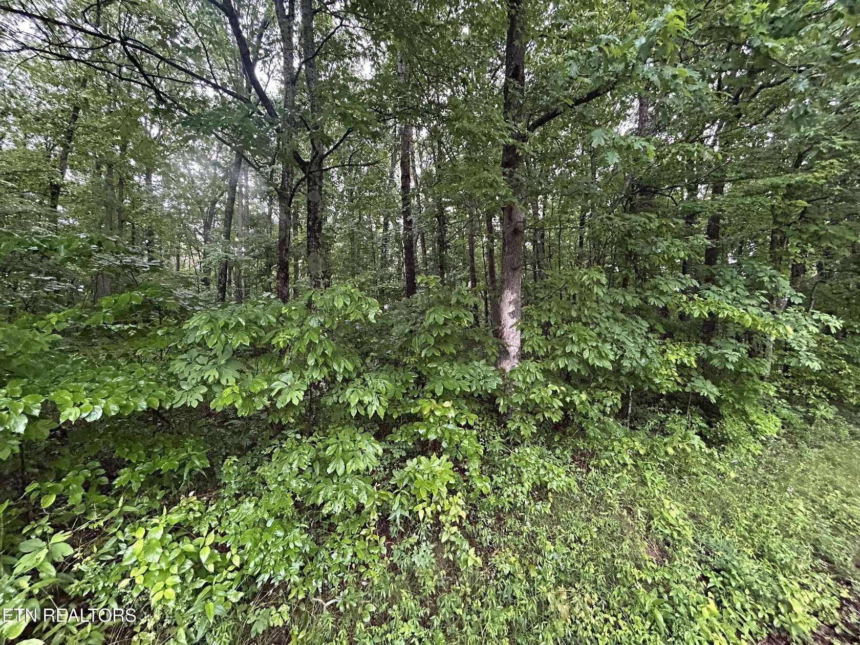 3 Acres of Residential Land for Sale in Clarkrange, Tennessee