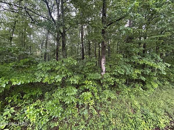 3 Acres of Residential Land for Sale in Clarkrange, Tennessee