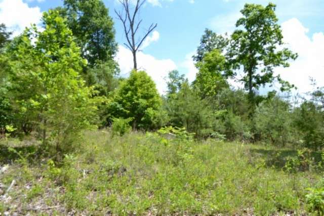 31.2 Acres of Land for Sale in Burkesville, Kentucky