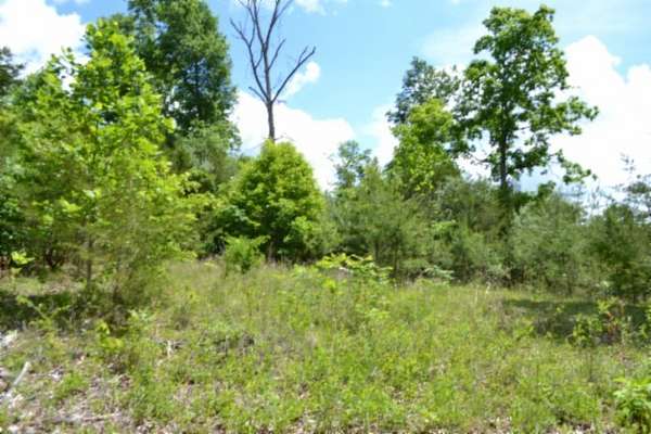 31.2 Acres of Land for Sale in Burkesville, Kentucky