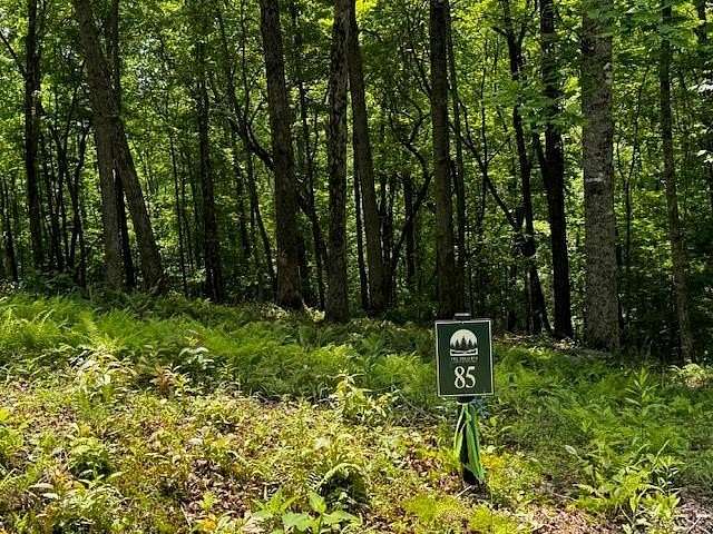 1.22 Acres of Residential Land for Sale in Ellijay, Georgia