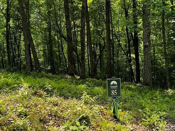 1.22 Acres of Residential Land for Sale in Ellijay, Georgia
