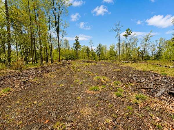 22.2 Acres of Land for Sale in Waterboro, Maine