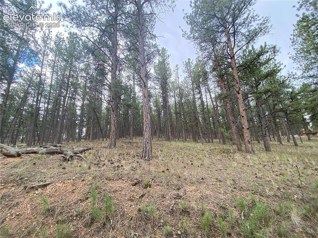 1.24 Acres of Land for Sale in Florissant, Colorado