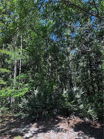 3.8 Acres of Residential Land for Sale in Woodbine, Georgia