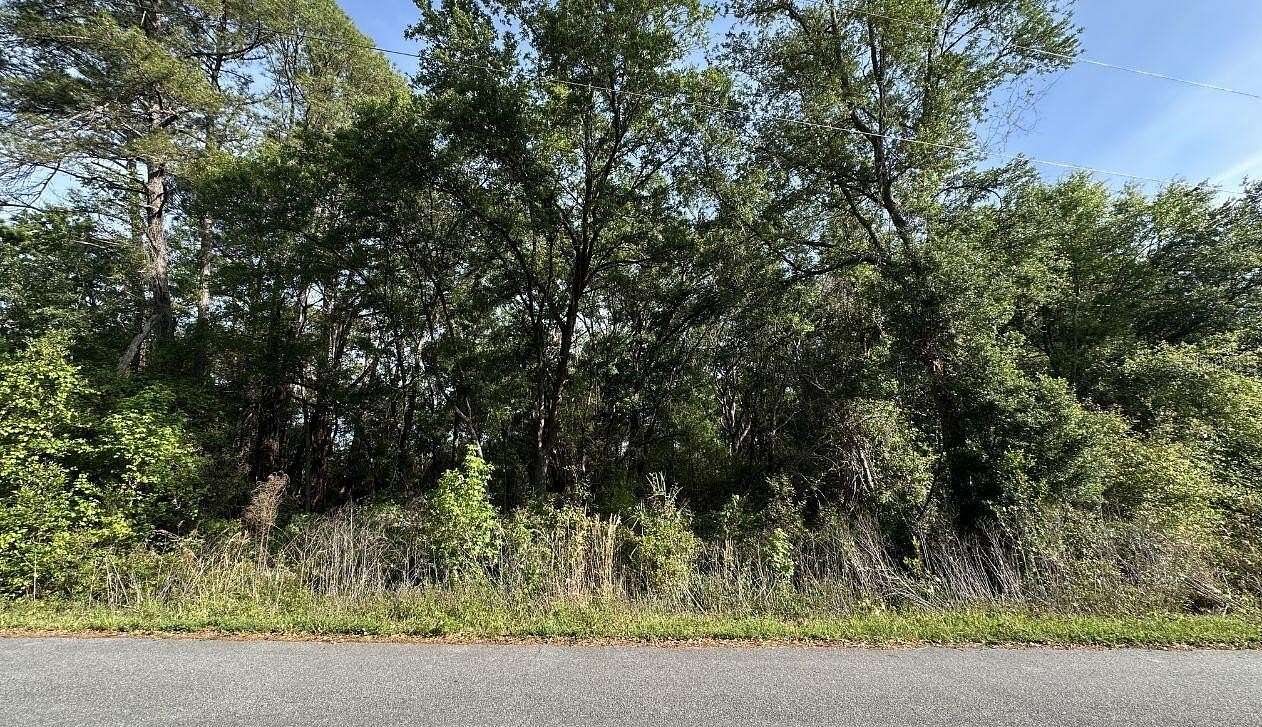 0.29 Acres of Residential Land for Sale in Ocala, Florida