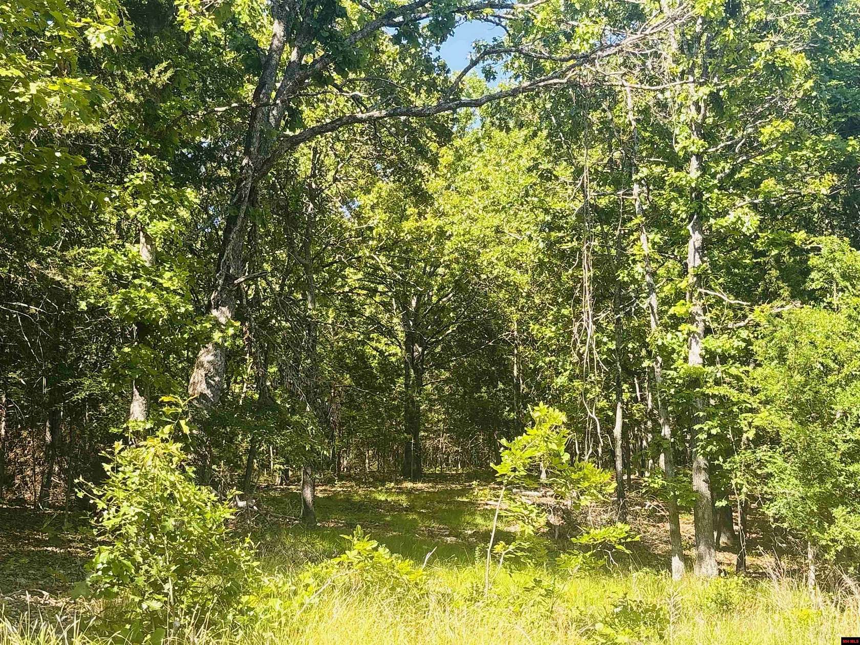 2.5 Acres of Residential Land for Sale in Yellville, Arkansas
