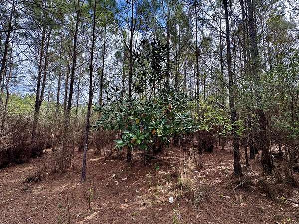 15.7 Acres of Recreational & Residential Land for Sale in Madison, Florida