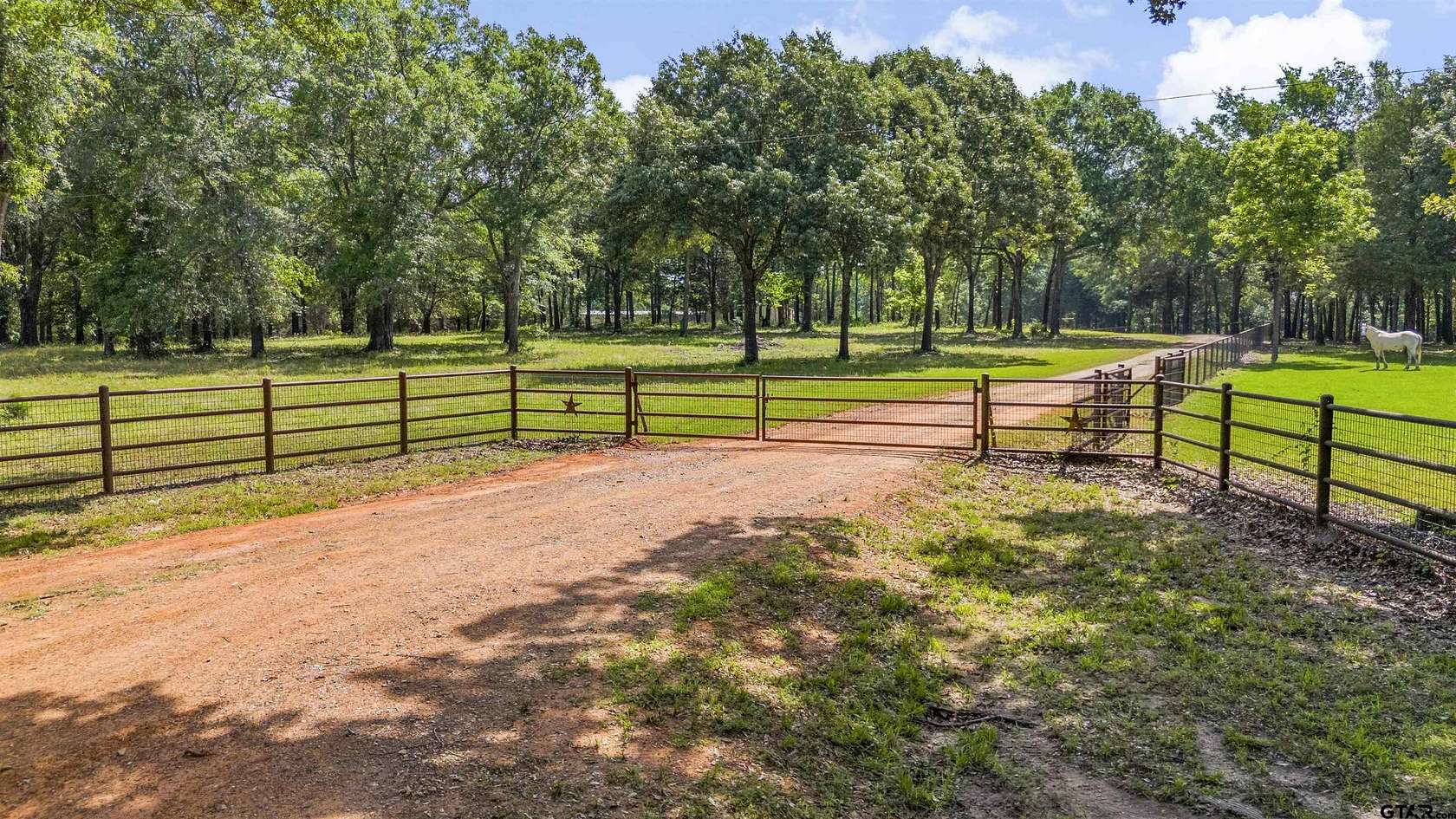 21 Acres of Land for Sale in Ben Wheeler, Texas
