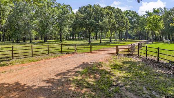 21 Acres of Land for Sale in Ben Wheeler, Texas