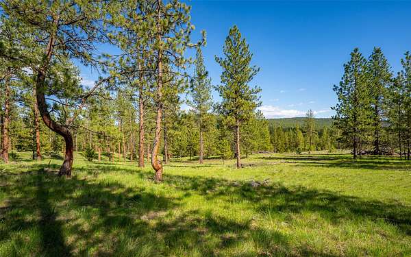 40.4 Acres of Recreational Land for Sale in Marion, Montana