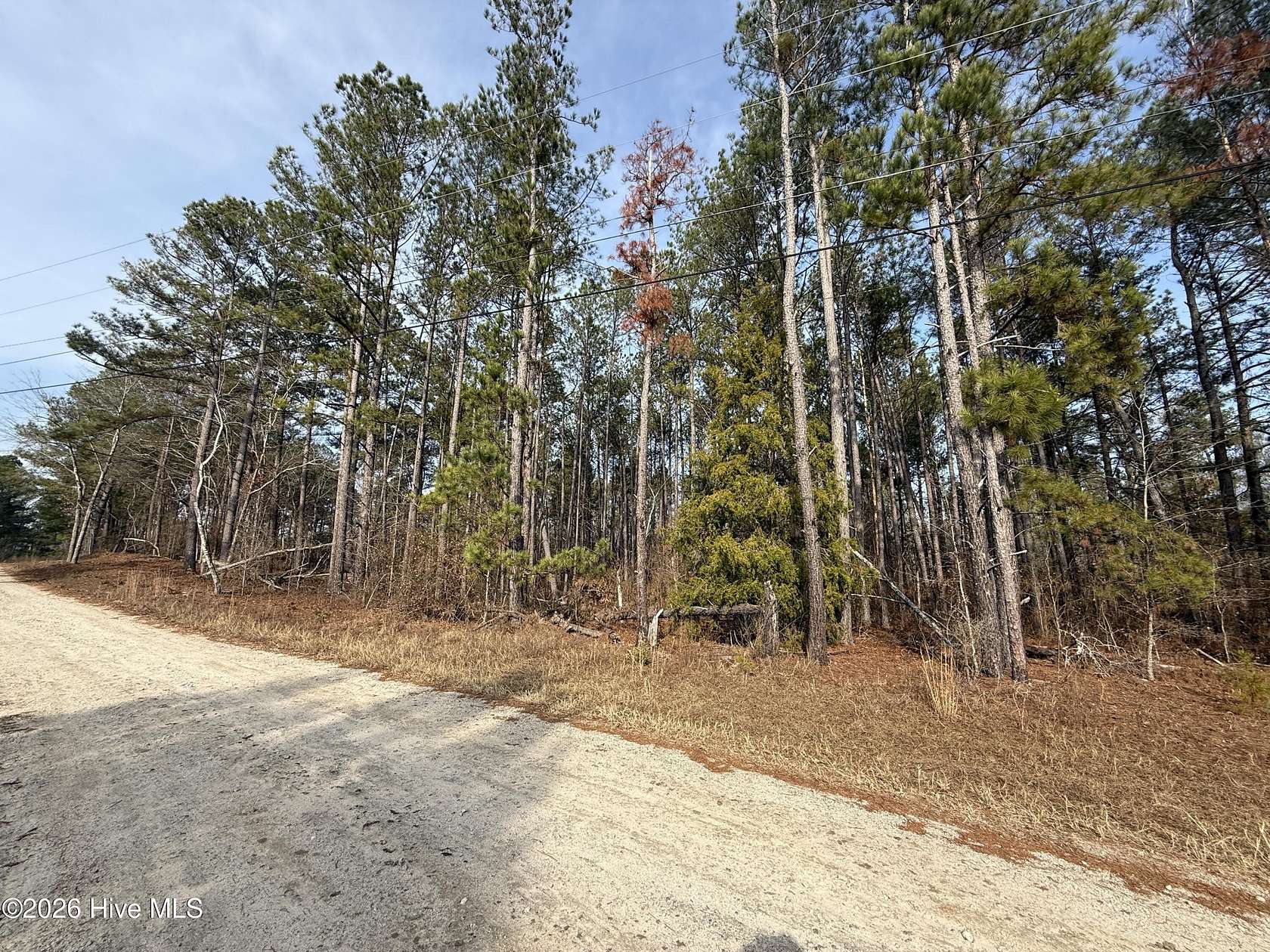 1 Acre of Residential Land for Sale in Hephzibah, Georgia