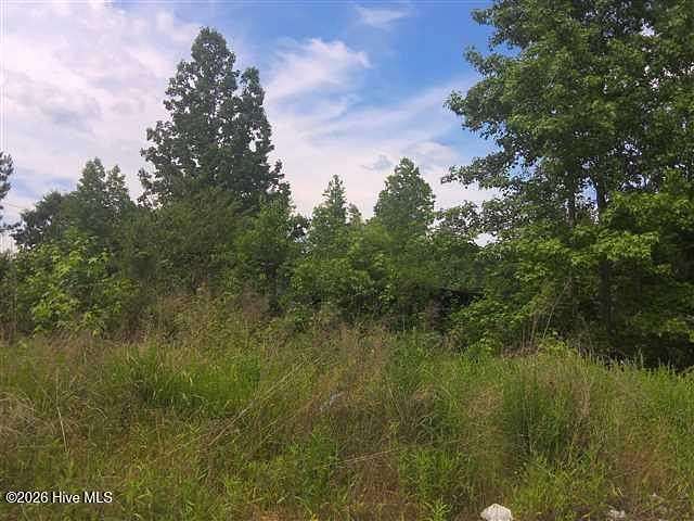 1 Acre of Residential Land for Auction in Louisburg, North Carolina