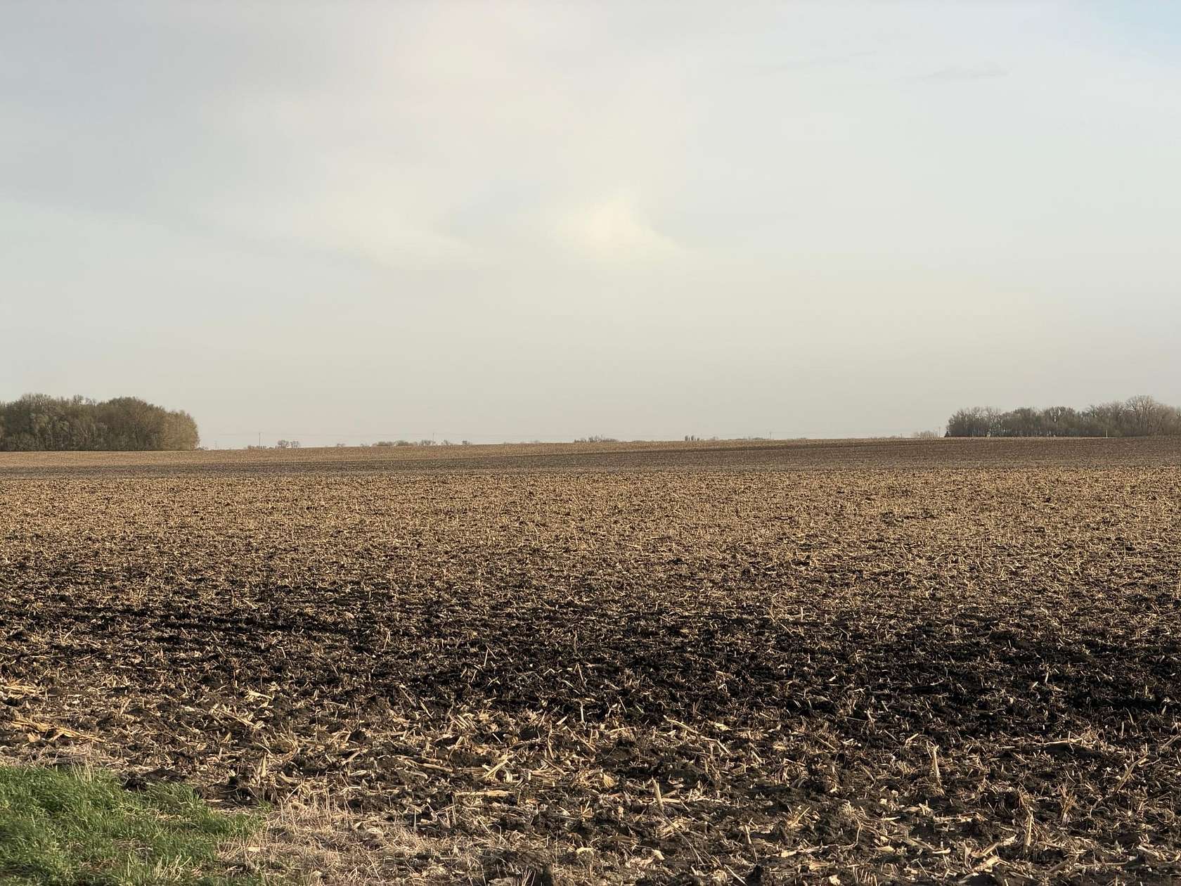 164 Acres of Agricultural & Residential Land for Auction in Dawson, Minnesota