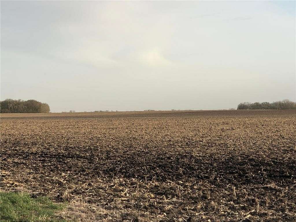 164 Acres of Agricultural & Residential Land for Auction in Lac Qui Parle Township, Minnesota