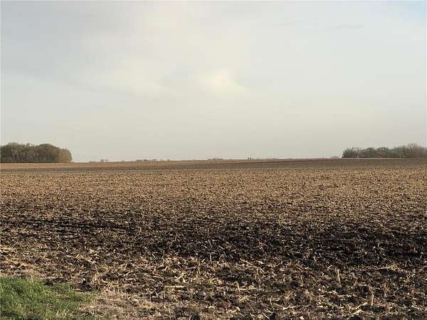 164 Acres of Agricultural & Residential Land for Auction in Lac Qui Parle Township, Minnesota