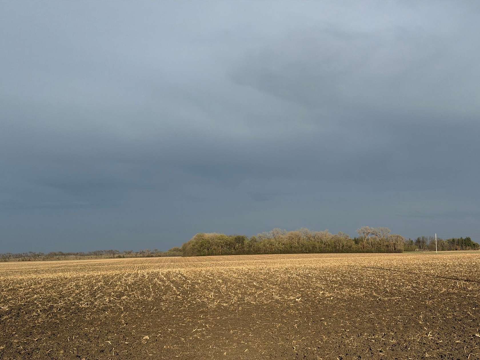 81.6 Acres of Agricultural & Residential Land for Auction in Dawson, Minnesota