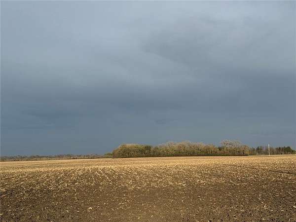 81.6 Acres of Agricultural & Residential Land for Auction in Lac Qui Parle Township, Minnesota