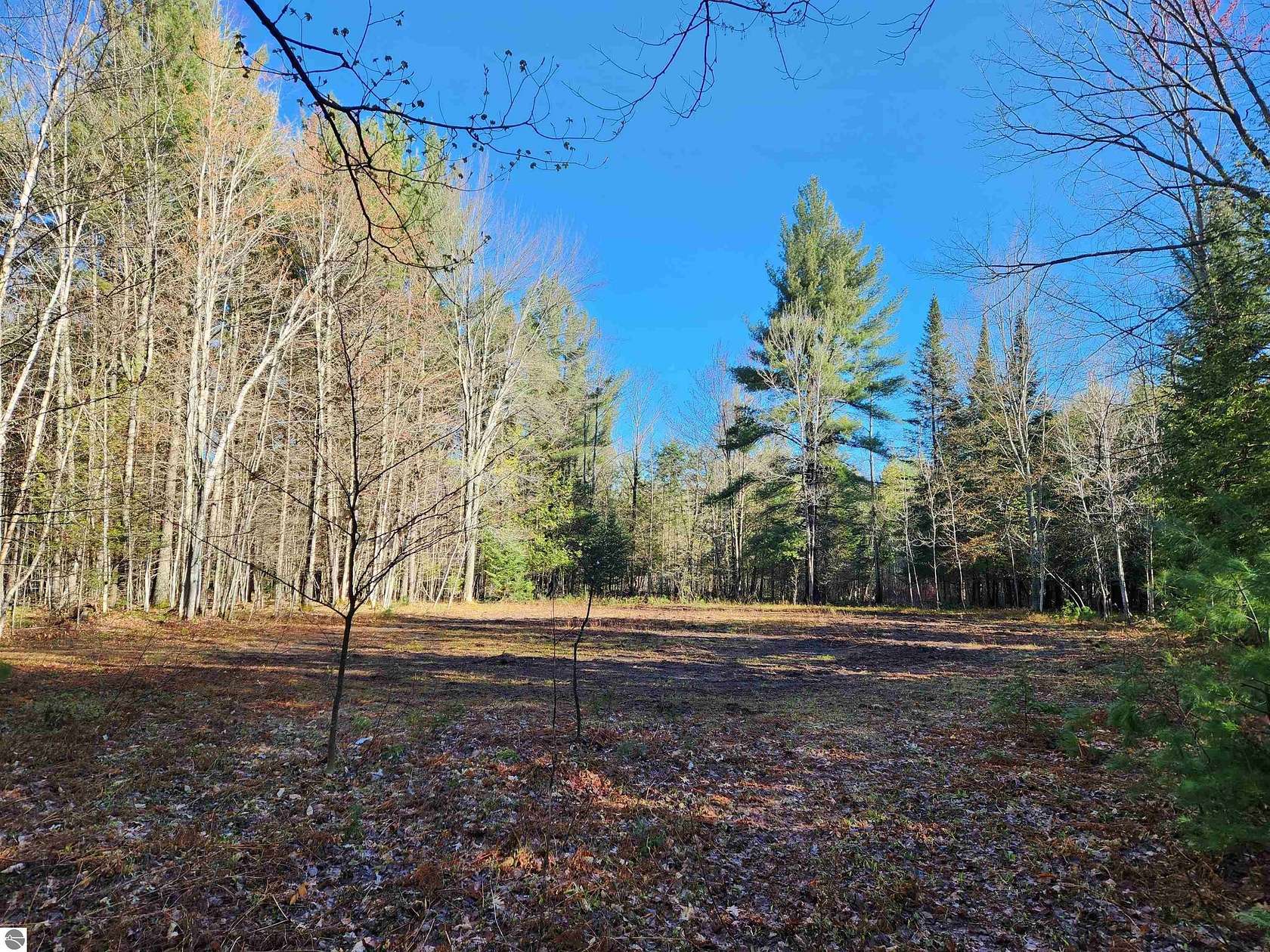 21.6 Acres of Land for Sale in Kalkaska, Michigan