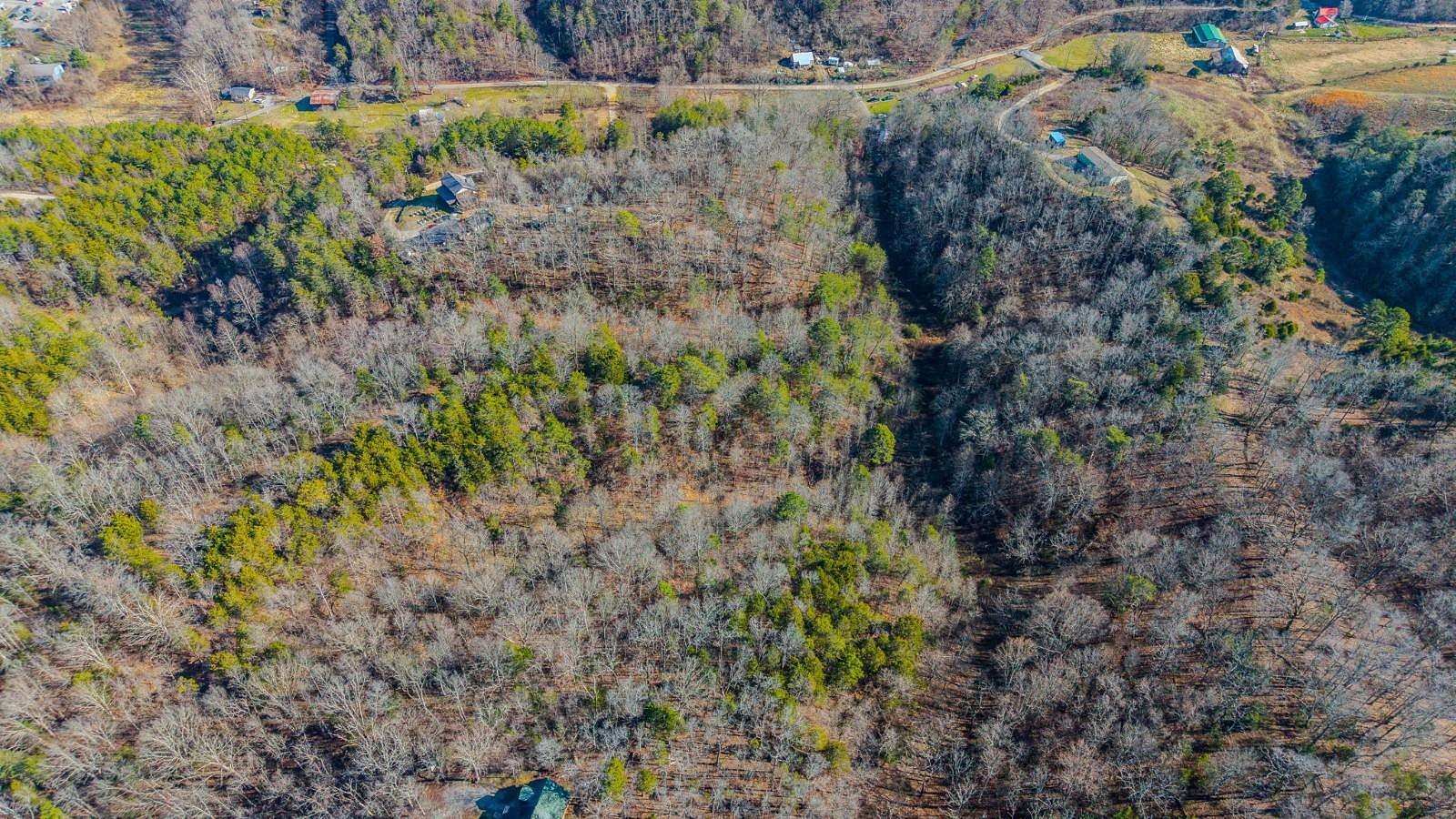 13.3 Acres of Land for Sale in Seymour, Tennessee
