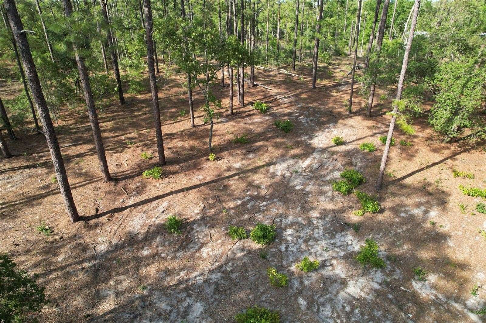 1.25 Acres of Land for Sale in Morriston, Florida