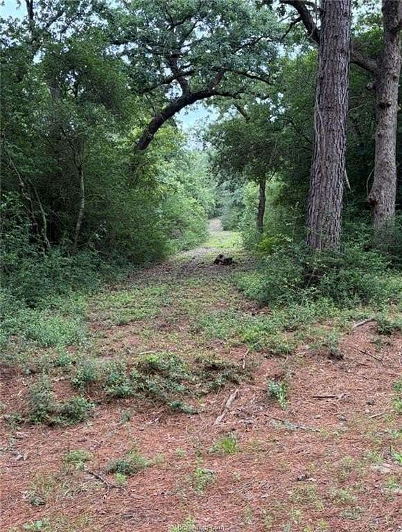 20 Acres of Land with Home for Sale in Centerville, Texas