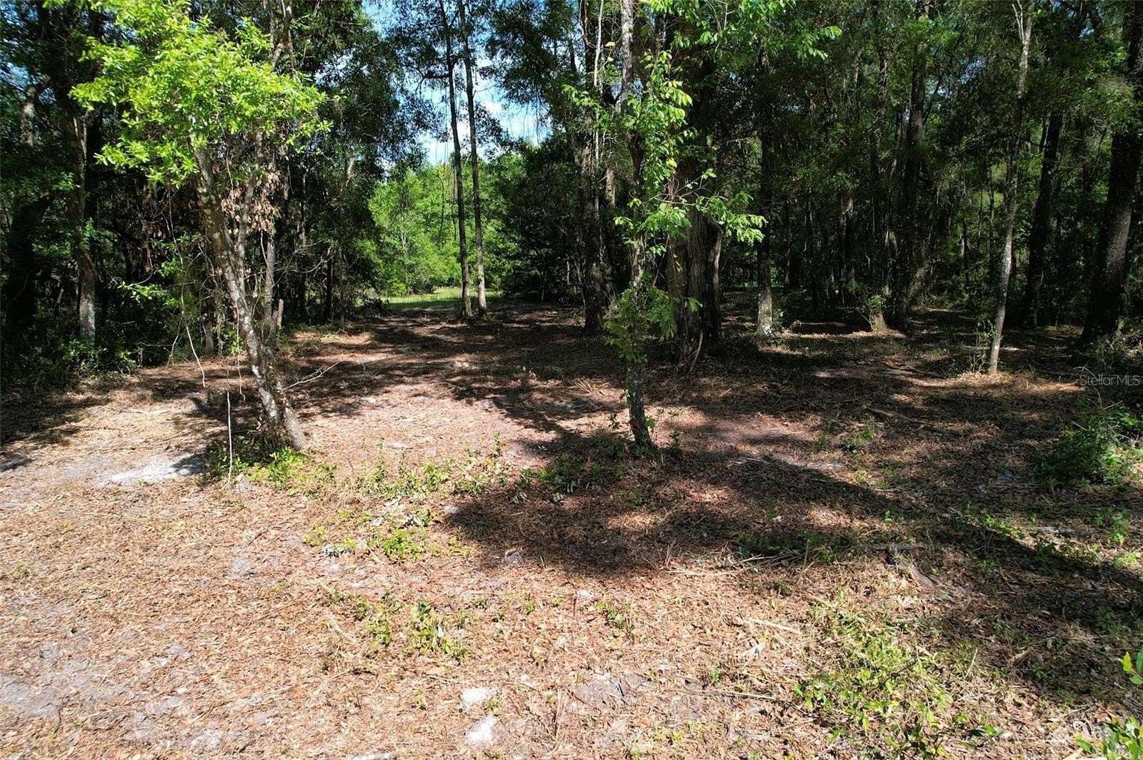 6.2 Acres of Land for Sale in Williston, Florida