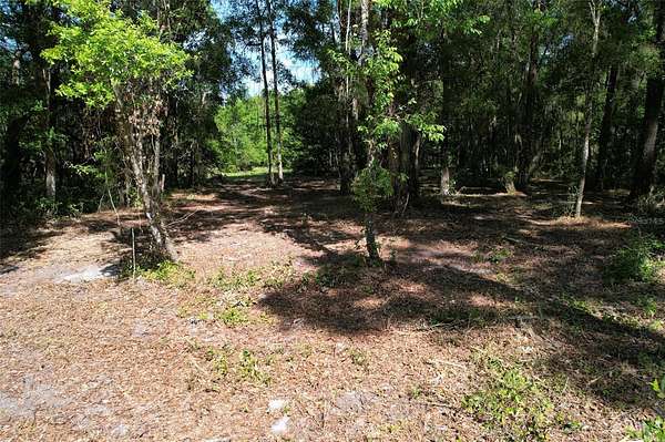 6.2 Acres of Land for Sale in Williston, Florida