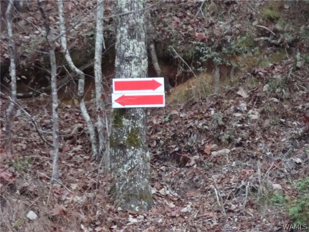 17 Acres of Land for Sale in Northport, Alabama