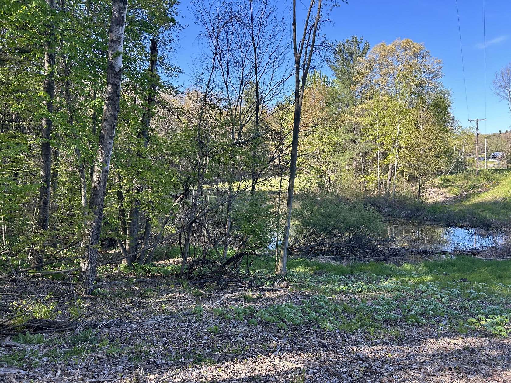 2.64 Acres of Land for Sale in Sand Lake, Michigan