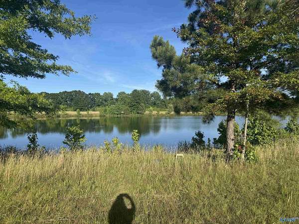 1.2 Acres of Residential Land for Sale in Moulton, Alabama