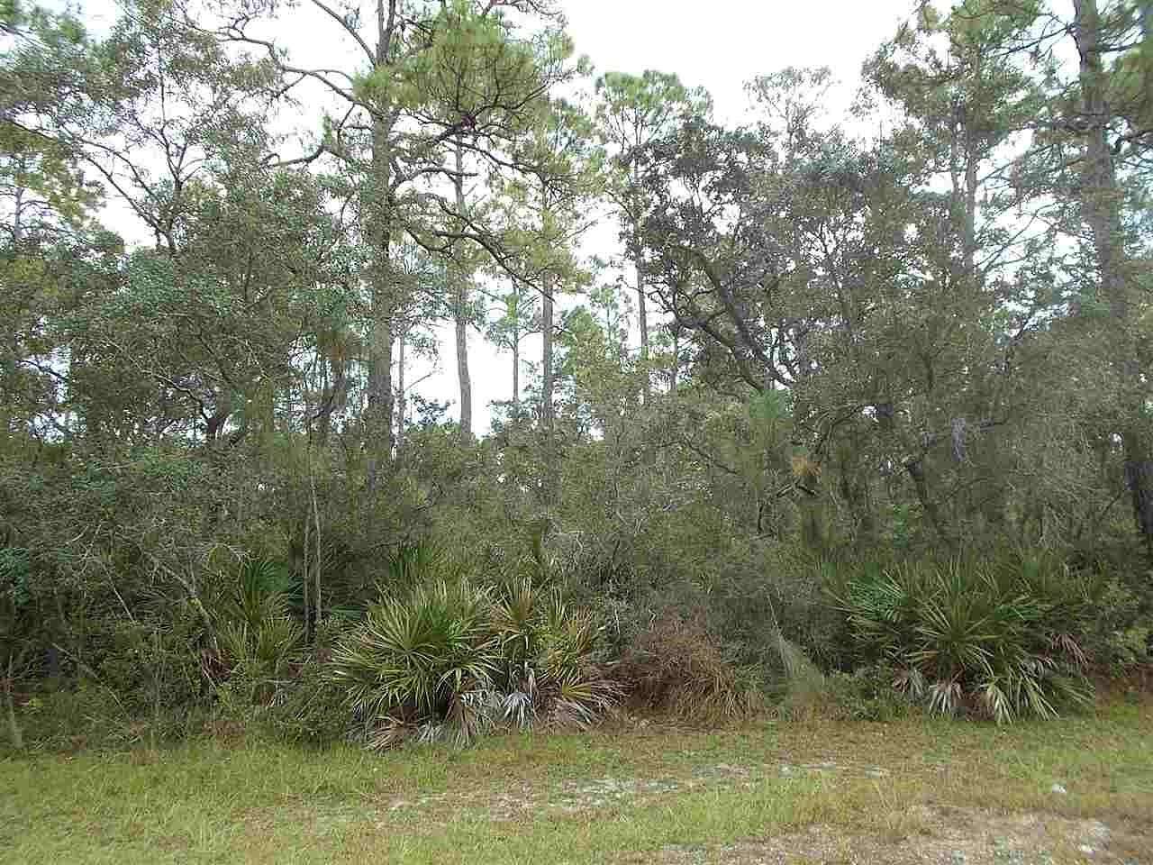 1 Acre of Residential Land for Sale in Panacea, Florida