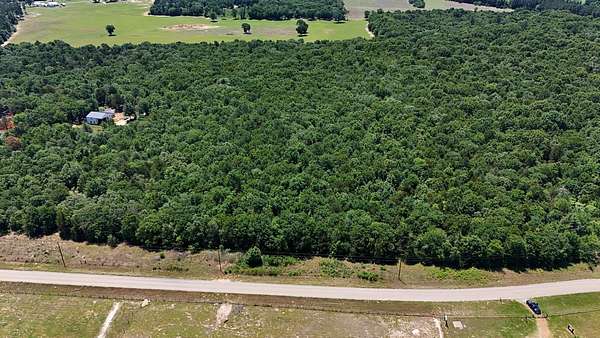 27.3 Acres of Agricultural Land for Sale in Mineola, Texas