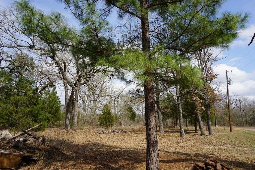 0.17 Acres of Land for Sale in Log Cabin, Texas