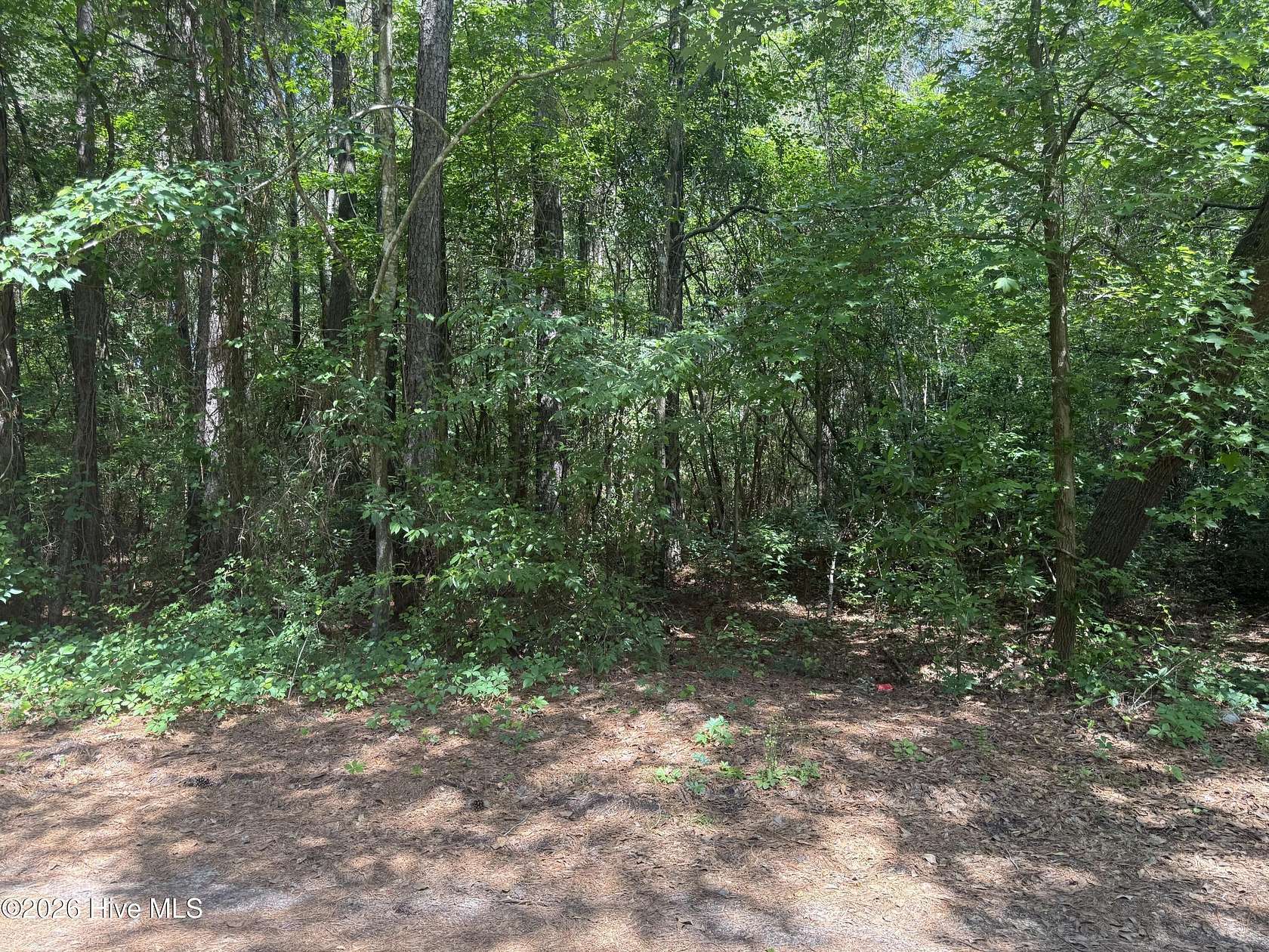 1 Acre of Land for Sale in Wallace, North Carolina