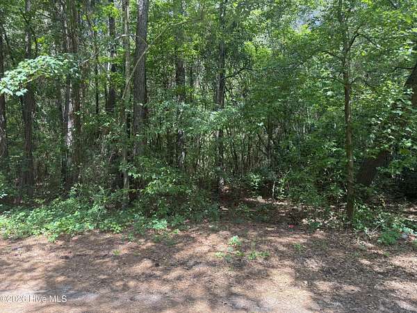 1 Acre of Land for Sale in Wallace, North Carolina