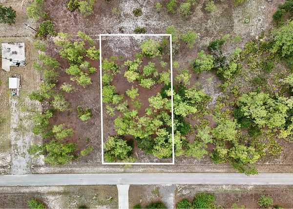 Residential Land for Sale in Lehigh Acres, Florida