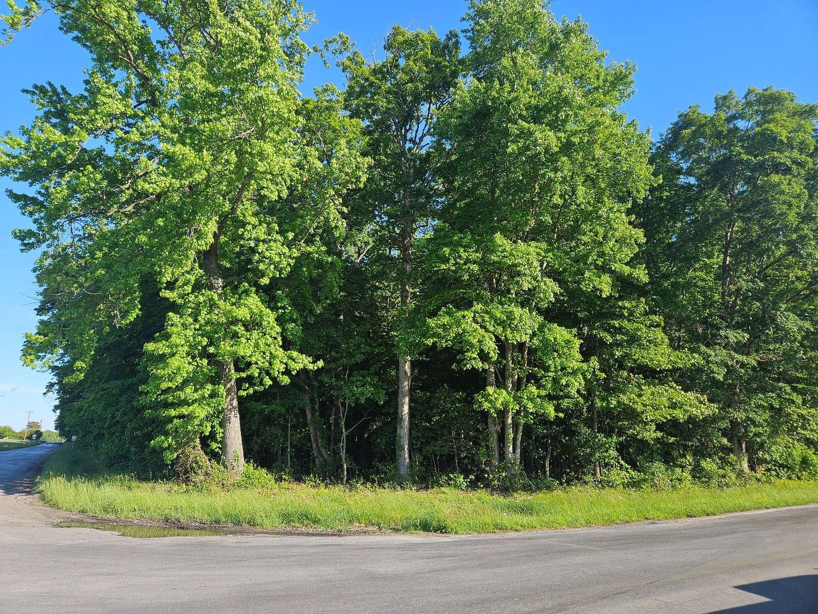 4.3 Acres of Residential Land for Sale in Greensboro, Maryland