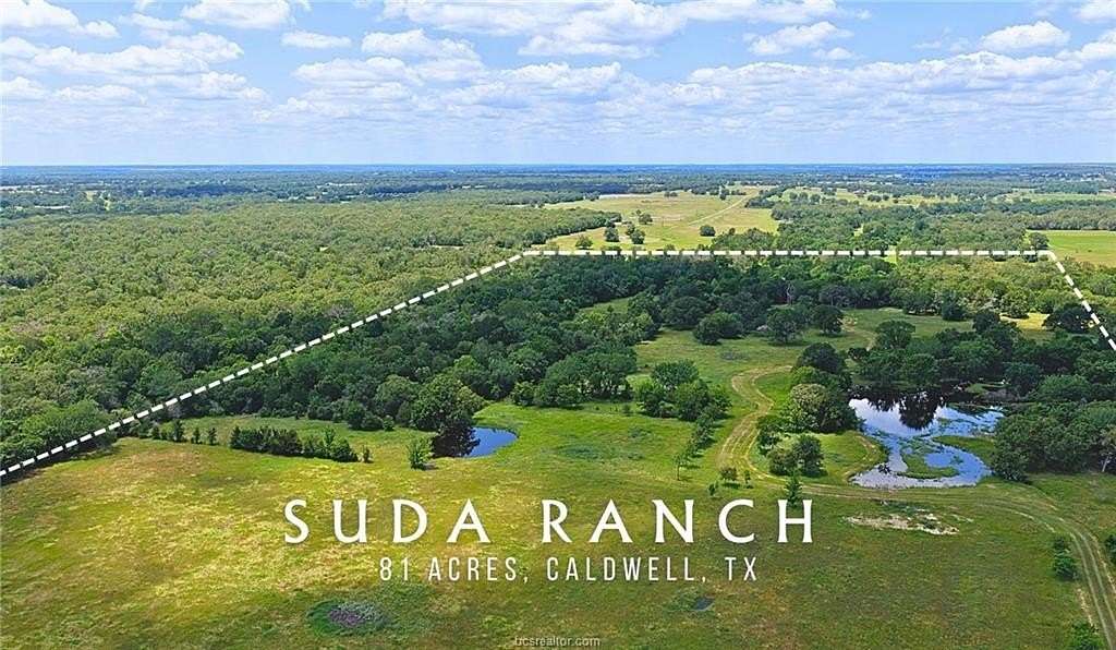 81 Acres of Land with Home for Sale in Somerville, Texas