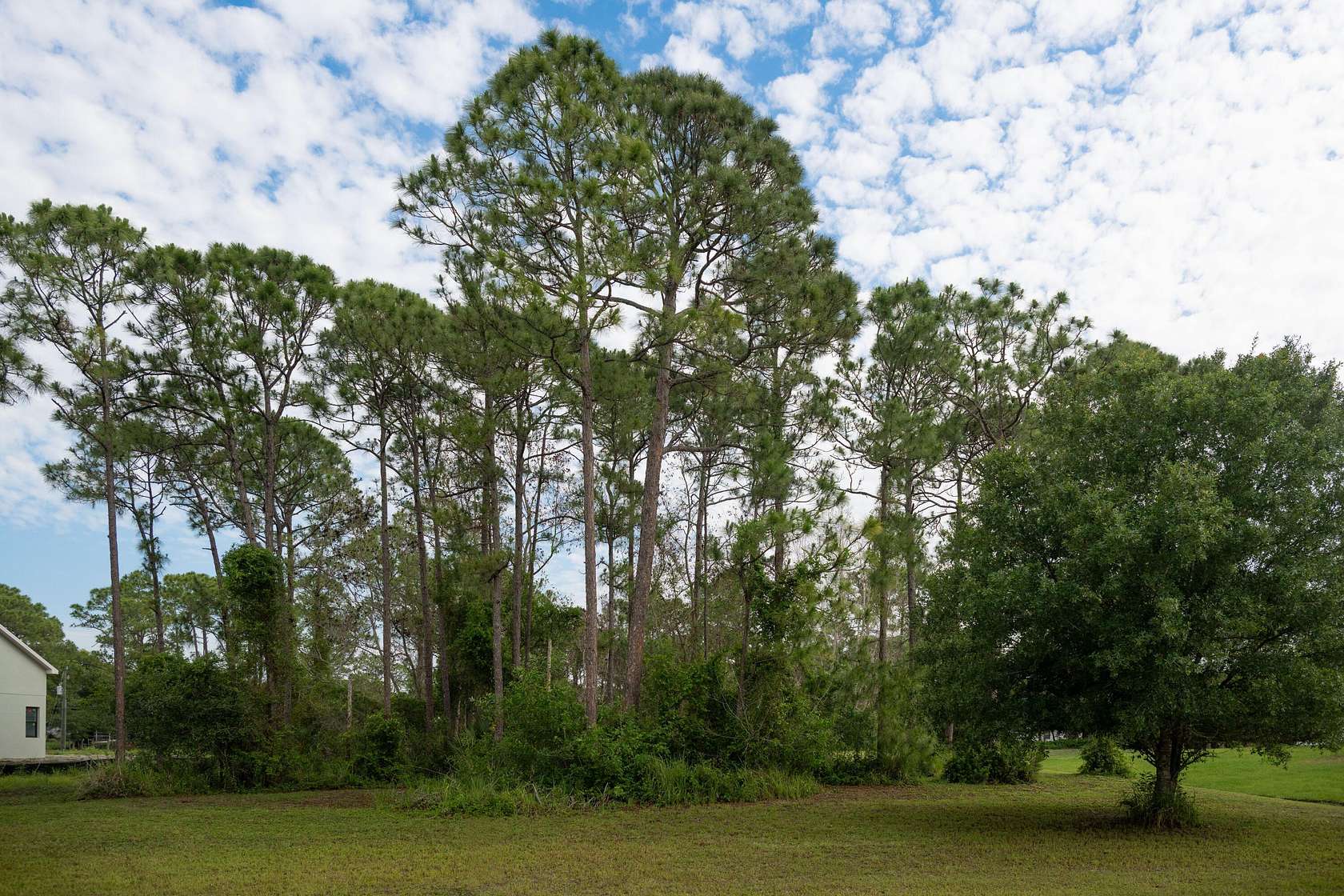 1 Acre of Residential Land for Sale in Fort Pierce, Florida
