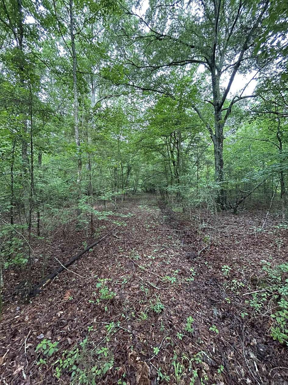 10 Acres of Recreational & Residential Land for Sale in Mena, Arkansas