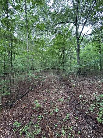 10 Acres of Recreational & Residential Land for Sale in Mena, Arkansas