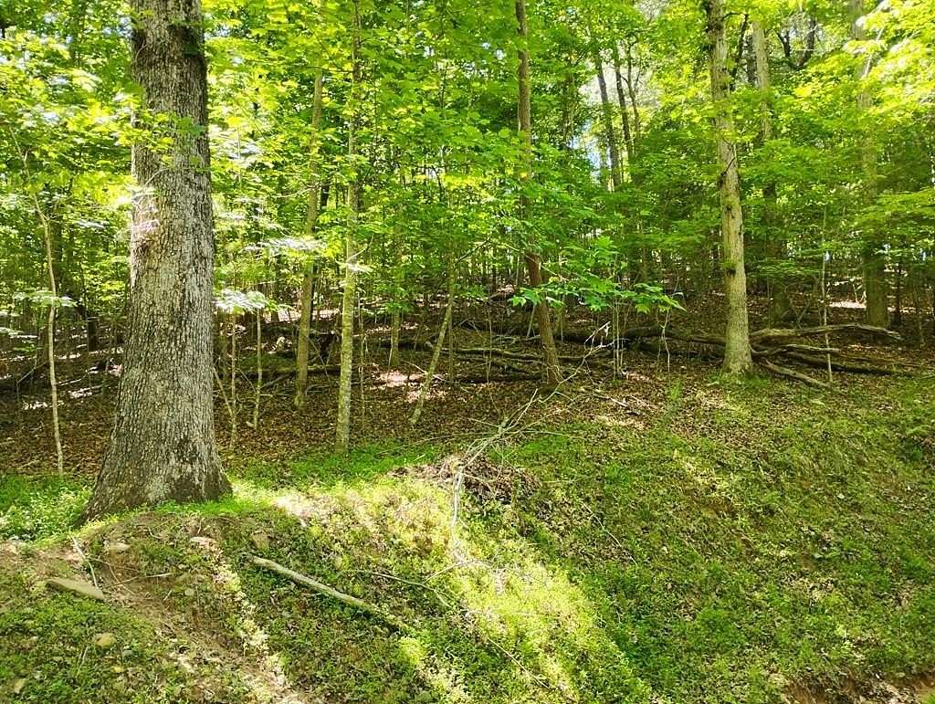1 Acre of Residential Land for Sale in Ellijay, Georgia