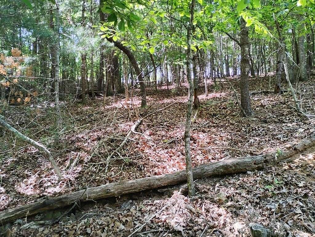 1 Acre of Residential Land for Sale in Ellijay, Georgia